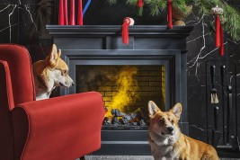 Dimplex Портал Coventry - Серый графит / Кирпич