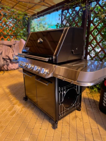 Газовый гриль Weber Summit FS38 E