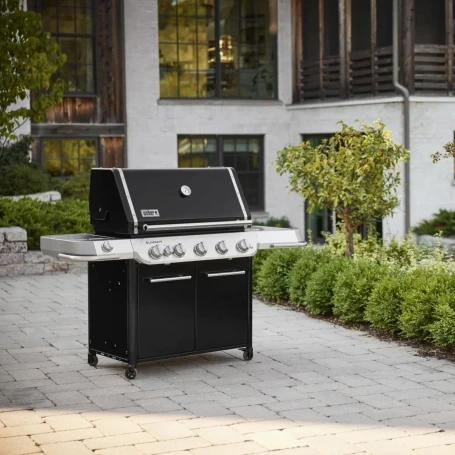 Газовый гриль Weber Summit FS38 E