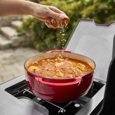 Газовый гриль Weber Summit FS38 E