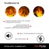 Электроочаг RealFlame 3D Cassette 630