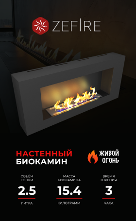 Биокамин Orion 900 (ZeFire)