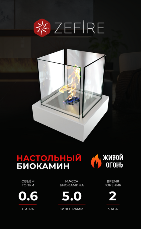 Биокамин Quant metall белый (ZeFire)